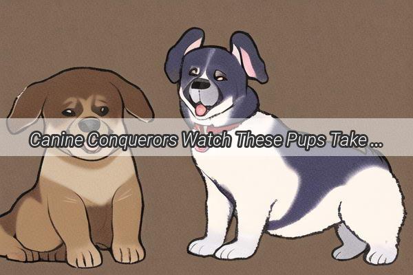 Canine Conquerors Watch These Pups Take on the Veggie Challenge with Unleashed Enthusiasm